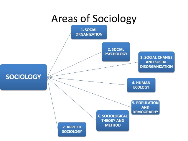 sociology blog assignment
