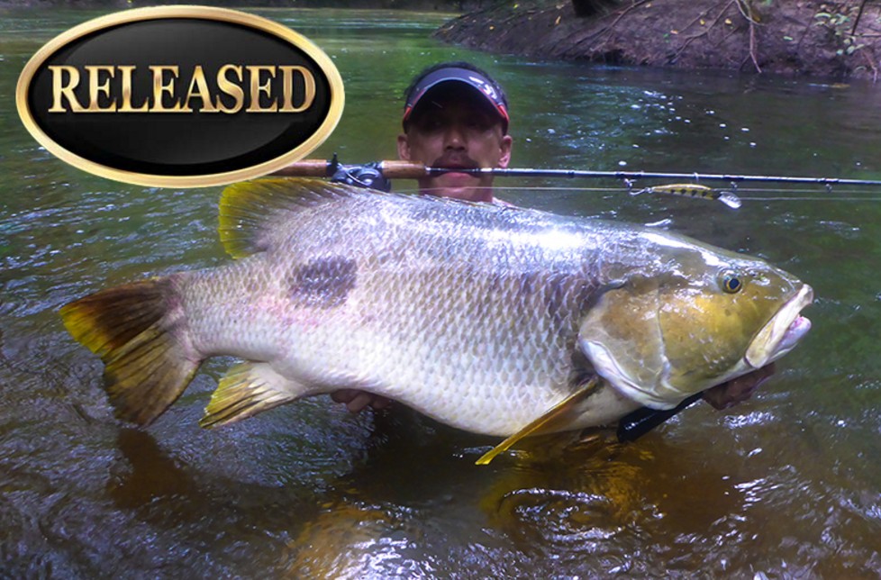 International Fishing News WORLDS RECORD all records approved in