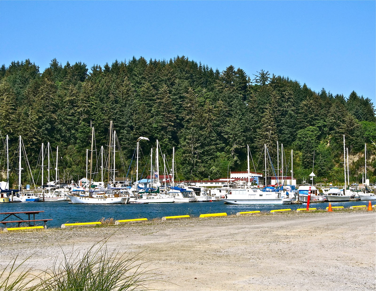 "CALGARY STAMPEDE TRIP" "DINNER IN WINCHESTER BAY OREGON"