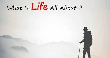 what is the meaning of life what is the meaning of life