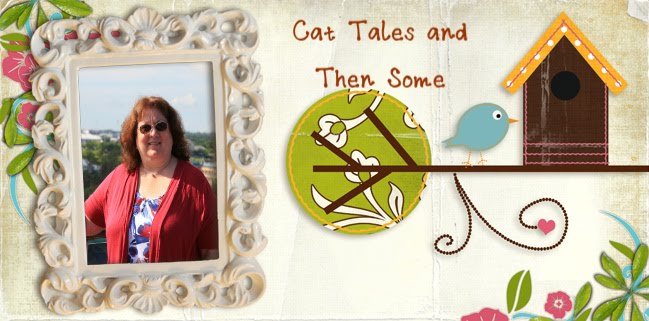 Cat Tales and Then Some