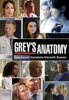 Grey’s Anatomy 11ª Temporada Torrent – WEB-DL 720p Dual Áudio