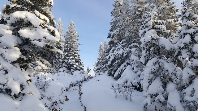 Tout près du sommet du mont Olivine