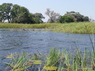 Reisen Afrika Botswana Okavango Delta