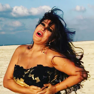 فيفي عبده Fifi Abdou