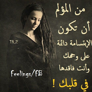 833f2ae26eba5e7a34f55b408f496cc6