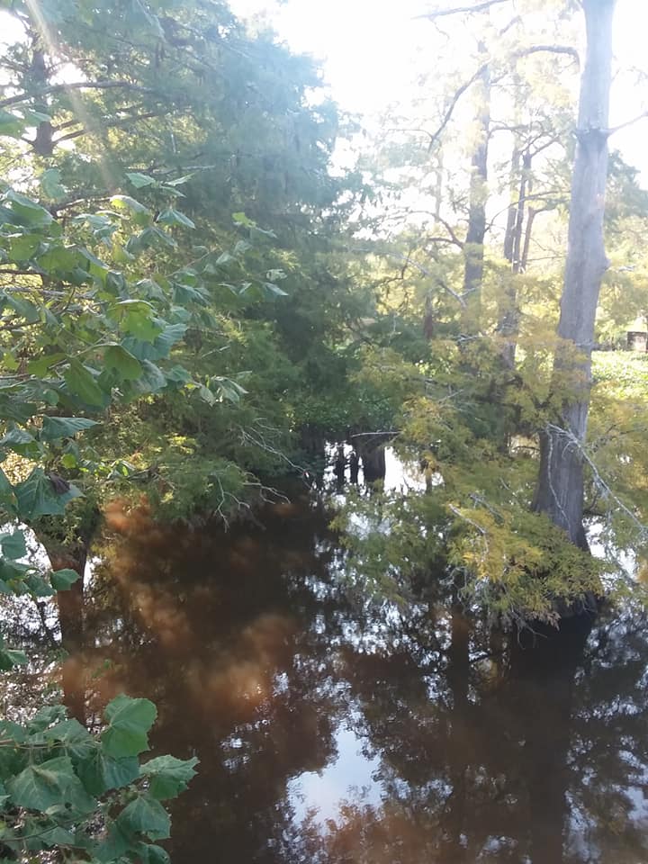 A Traveler's Guide To The Galaxy Saturday Afternoon On Bayou Boeuf