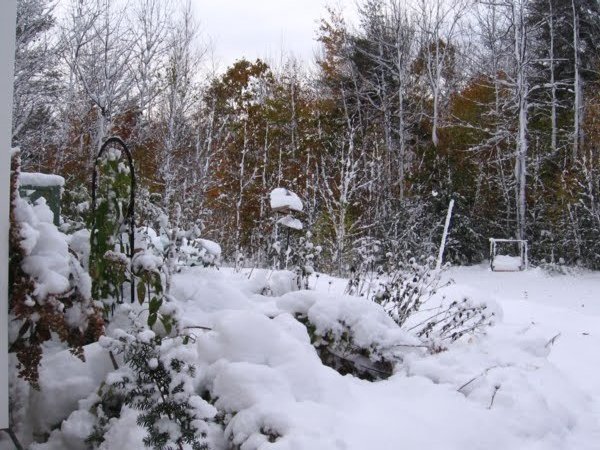 Mike Lynch Cartoons Snow Storm, October 30, 2011