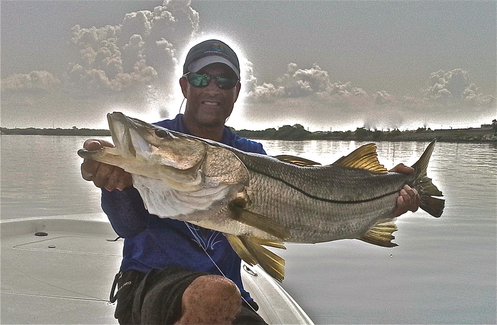 Winter Snook