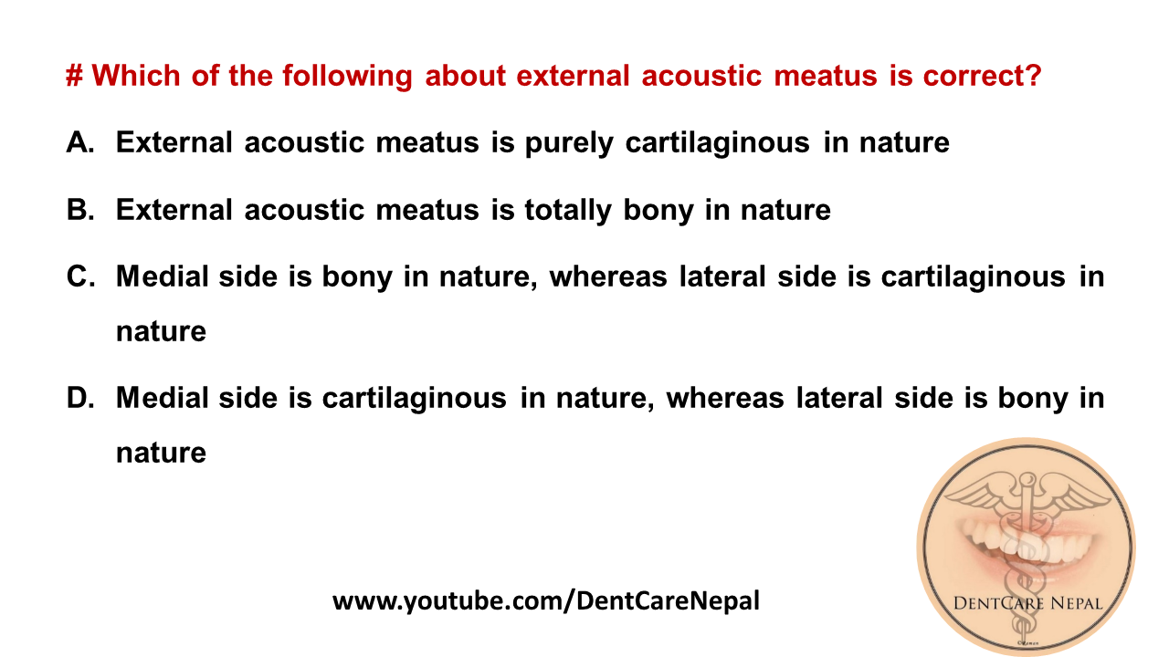 acoustic meatus acoustic meatus