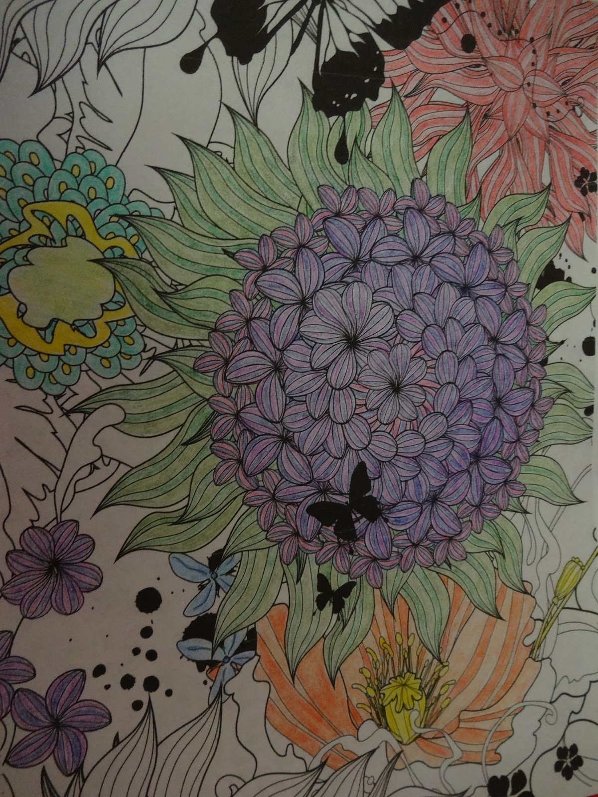 My Empty Nest Natural Wonders Color Art For Everyone