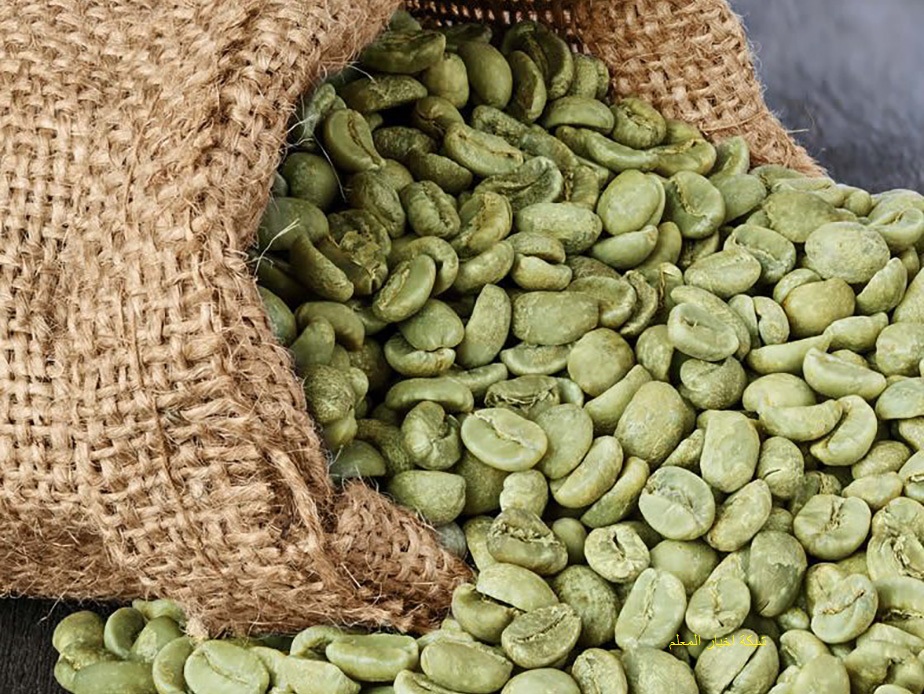 أهم فوائد واضرار القهوة الخضراء للتخسيس - كيفية وطريقة عمل القهوة الخضراء بالمنزل - حبوب وكبسولات القهوة الخضراء في السعودية ومصر بالصور