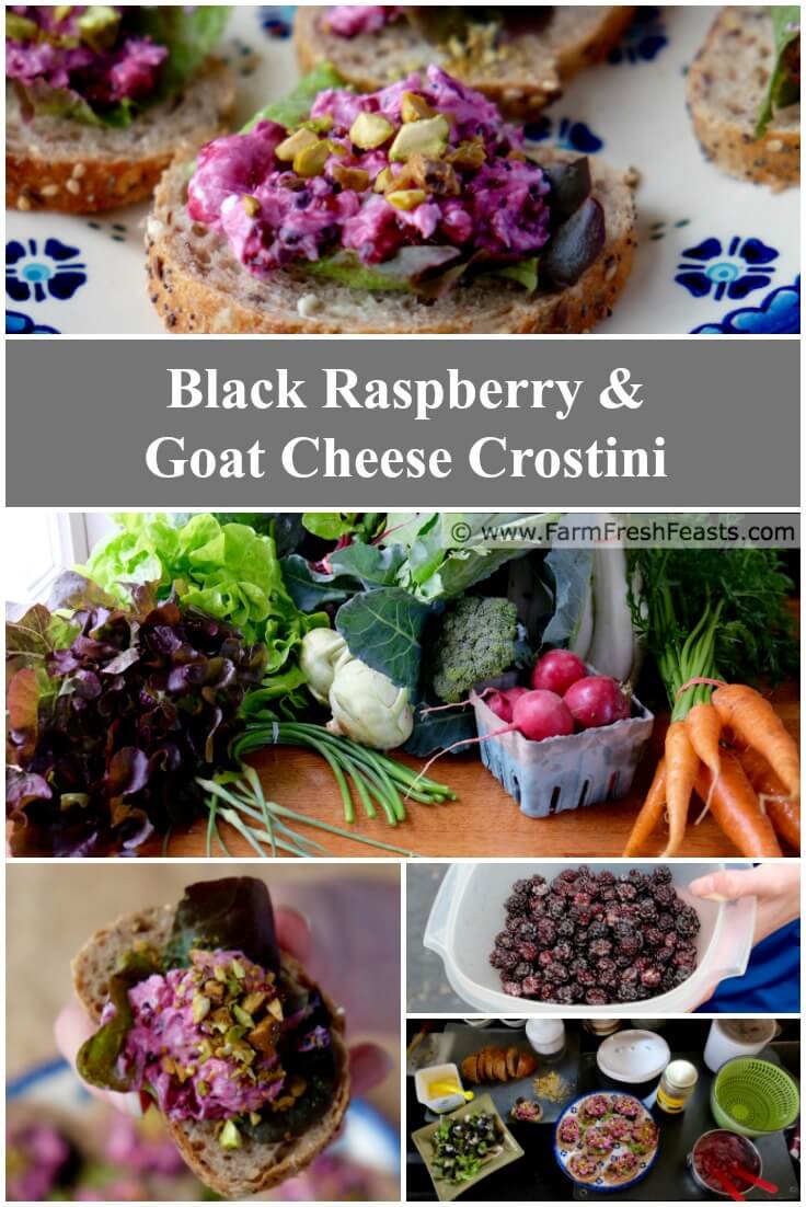Farm Fresh Feasts Black Raspberry & Goat Cheese Crostini