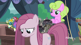 Pinkie grayed out with straight hanging hair in Pinkamena form whose aura is killing nearby flowers in a stall.  