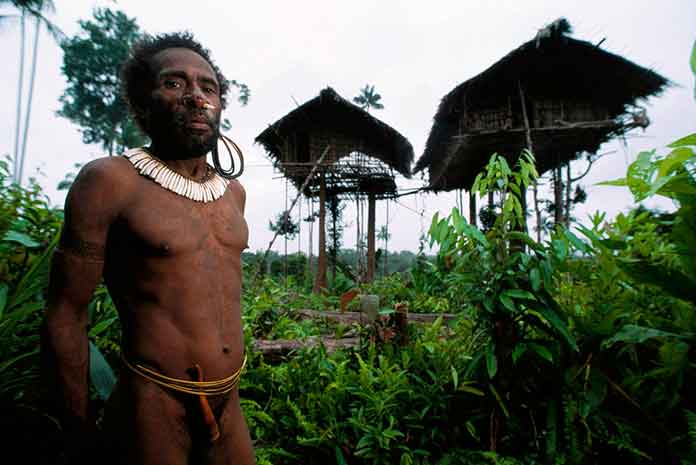 Suku Korowai Papua Suku Korowai Papua