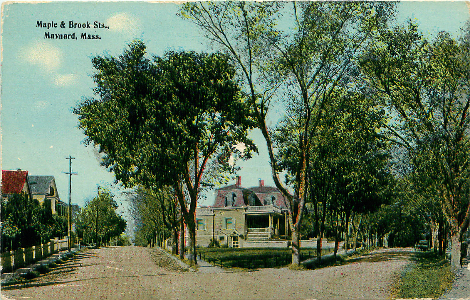 Maynard Life Outdoors and Hidden History of Maynard Trees A Plan for