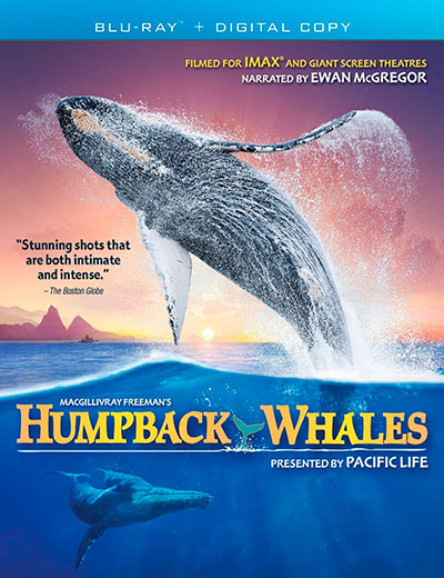 Humpback Whales (2015) IMAX 1080p BDRip Dual Latino-Inglés (Documental)