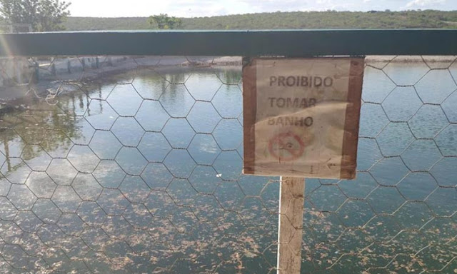 Irmãos de 5 e 10 anos morrem afogados em América Dourada