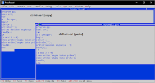 cara copy paste program free pascal