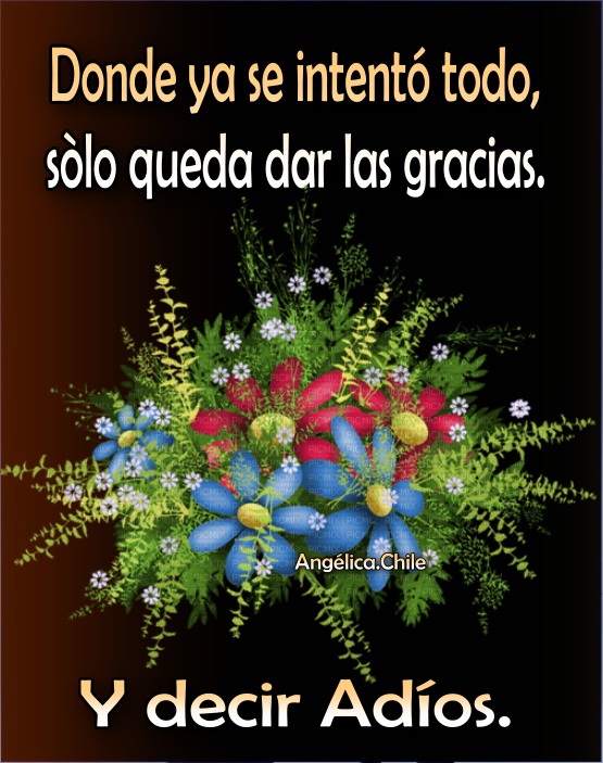 Sueños de Amor Y Magia: Donde ya se intento todo