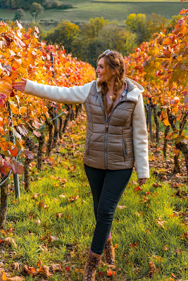 Weinlehrpfad Markelsheim | Wandern bei Bad Mergentheim 12