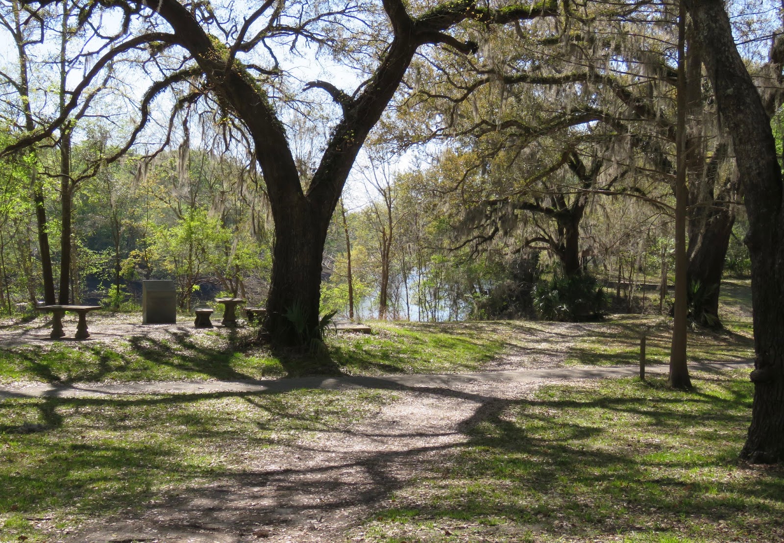 Where's Liz? 2017 Dowling Park, FL...where I'll retire after RVing