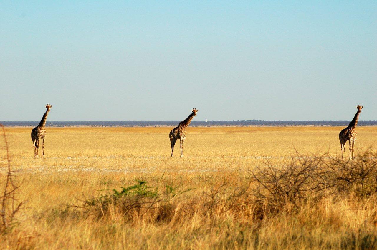 Национальный Парк в Намибии. Намиб Науклуфт