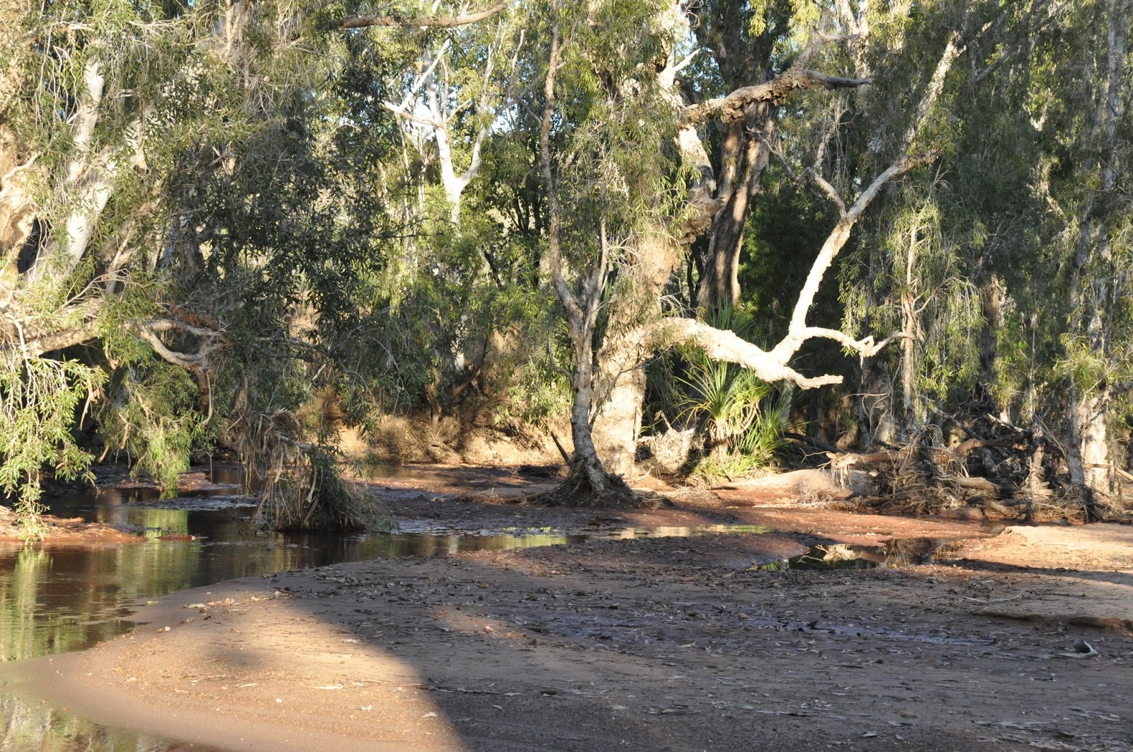 BarbaraTVan: BARBARA'S KIMBERLEY ADVENTURE - THE GIBB RIVER ROAD TO ...