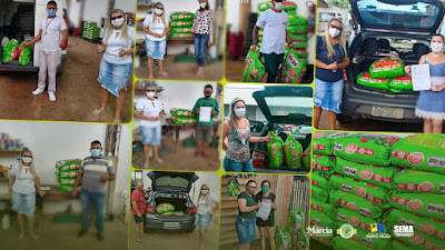 BEM ESTAR ANIMAL - Vereadora Márcia Socorristas Animais apoia protetores independentes em Porto Velho