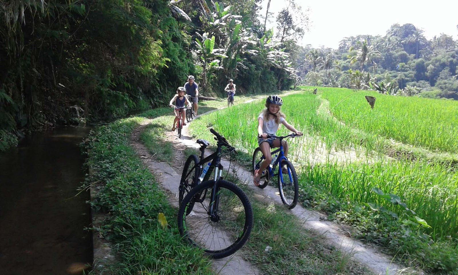 Cycling Down Hill from Kintamani to Ubud