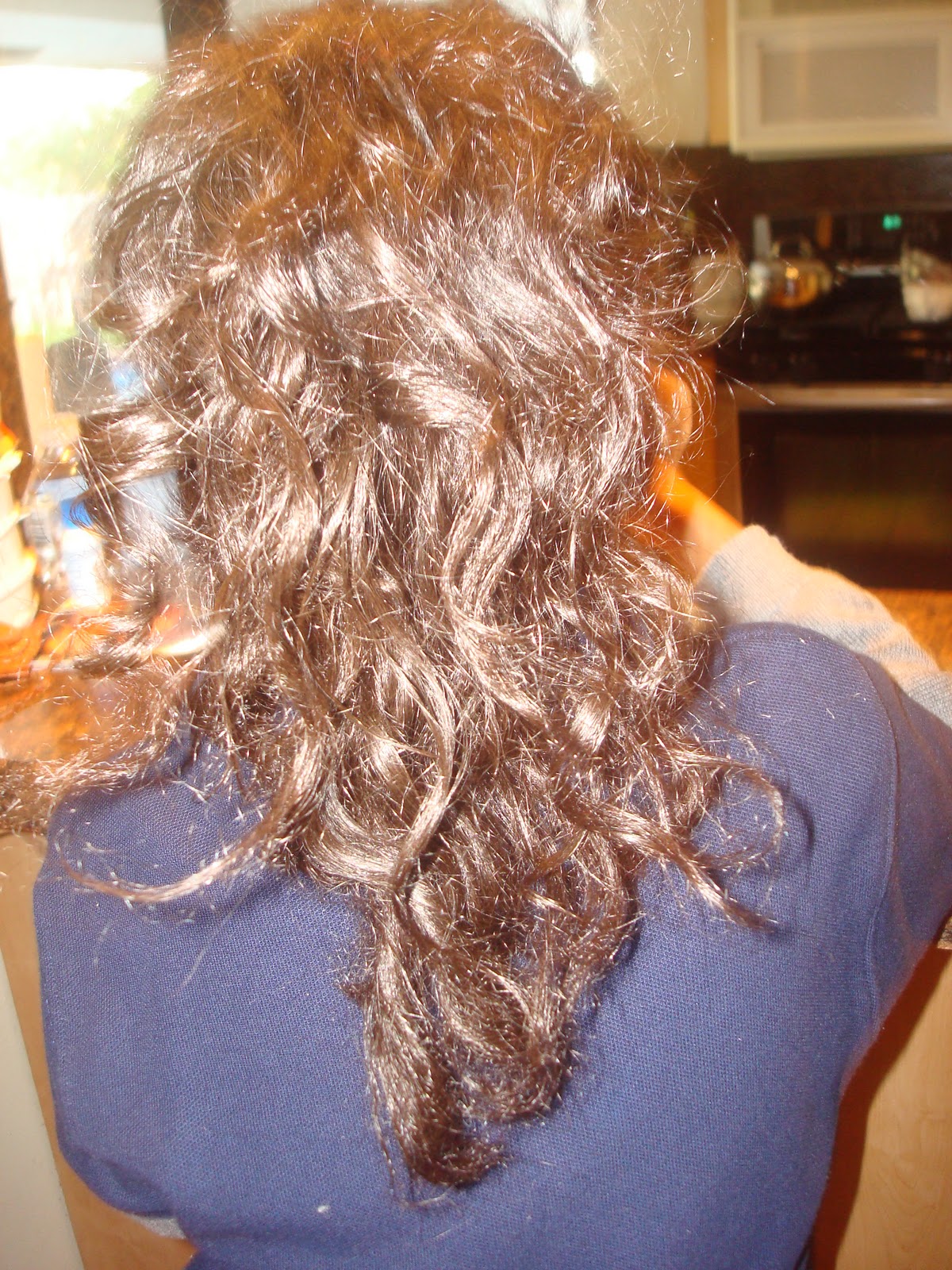 HOW TO CARE FOR COILY HAIR Flat Ironed Hair Update Days 1 through 4