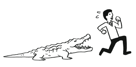 crocodile.gif