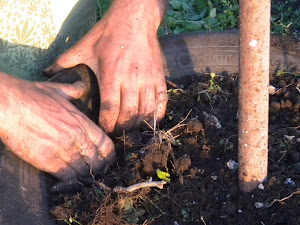 Rellenando Neumáticos con tierra