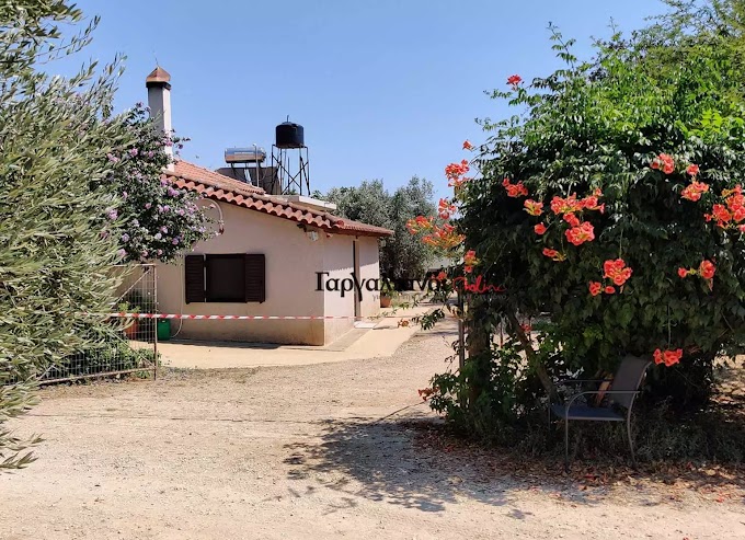 Μεσσηνία: Νέα στοιχεία για την άγρια δολοφονία γυναίκας στα Φιλιατρά! Το κρίσιμο 20λεπτο ( Βίντεο)