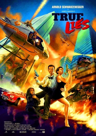 True Lies 1994 BRRip 480p Dual Audio 300Mb