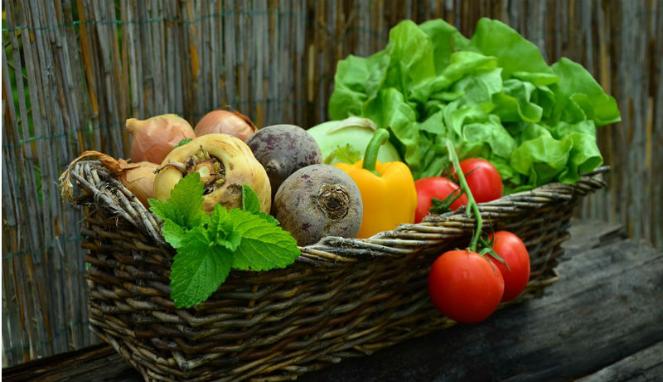 Manfaat Mengkonsumsi Makanan yang Mengandung Vitamin E Manfaat Mengkonsumsi Makanan yang Mengandung Vitamin E