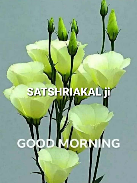 Sat Shri Akal Ji Good Morning 