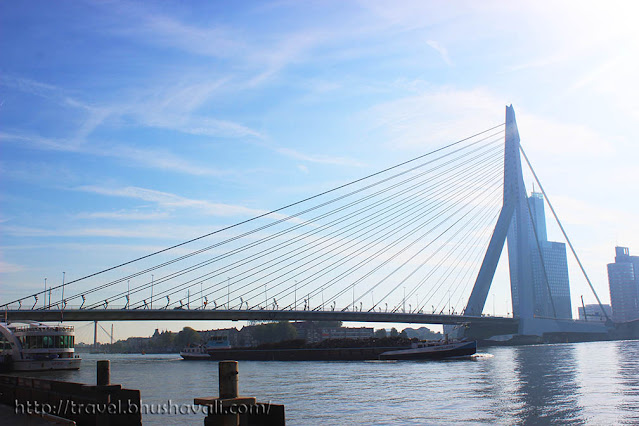 One day in Rotterdam