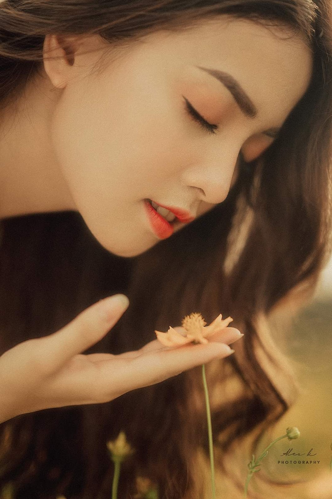 Vietnamese beautiful girl - Beauty face of young beautiful woman with flowers in her hair