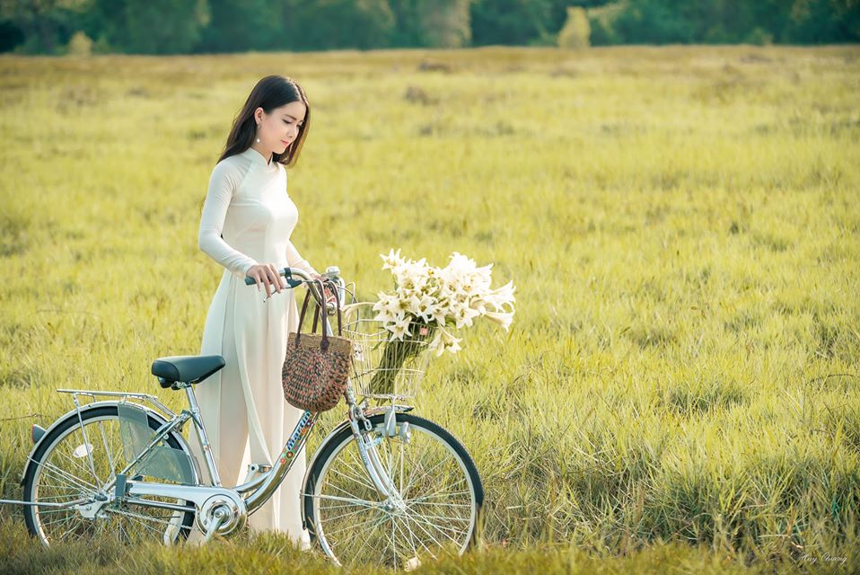 Top 45 Hình Ảnh Về Hoa Loa Kèn Tháng 4 Đẹp Nhất Trời Xanh