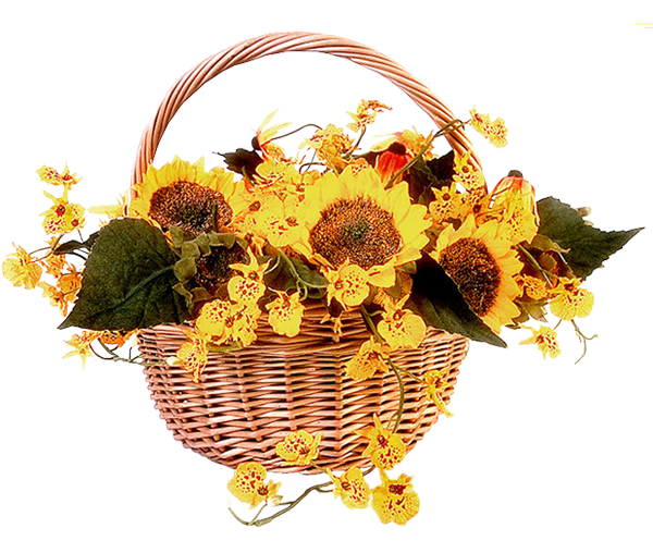 sunflowers in baskets