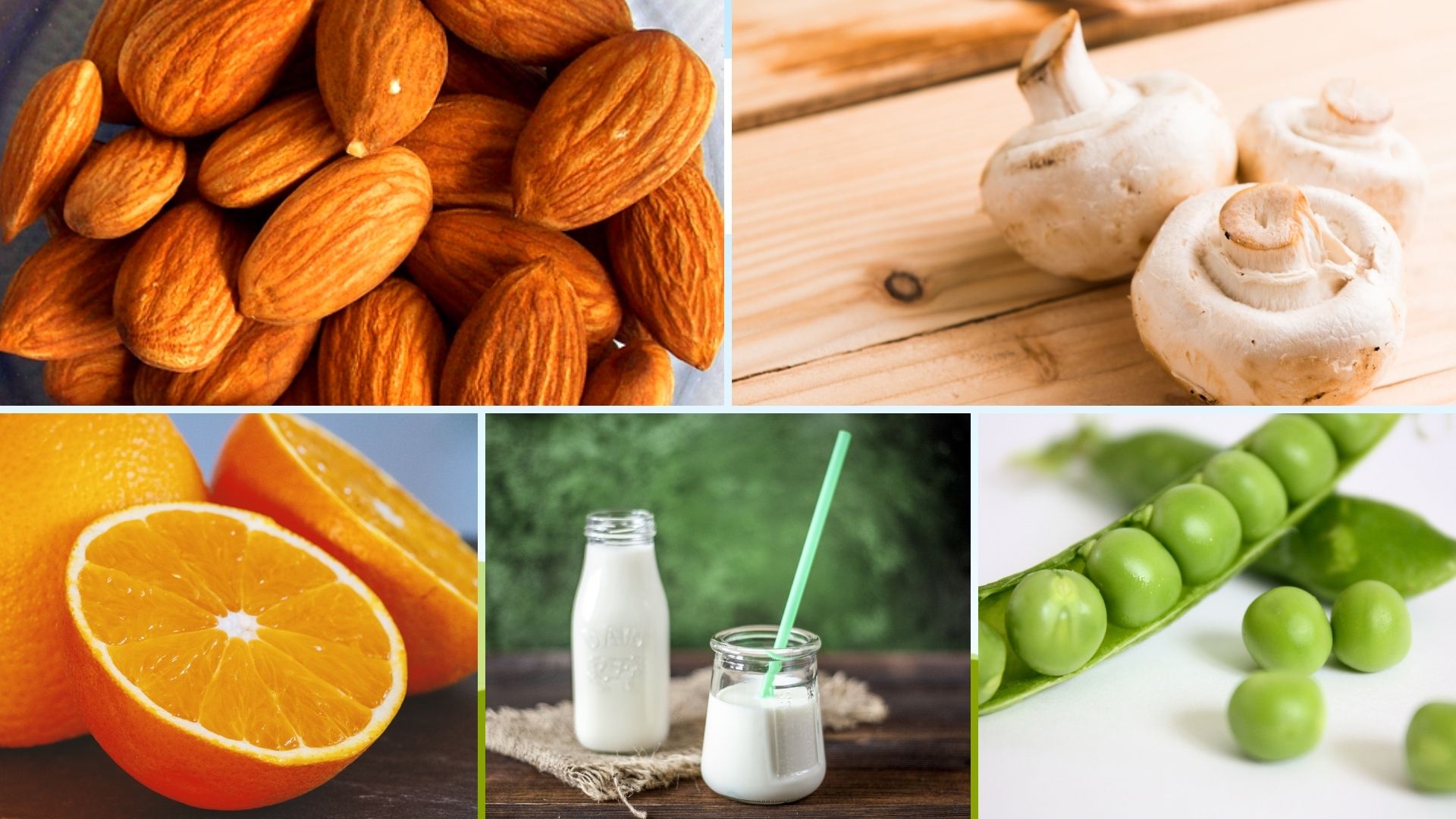 Useful What Foods Have Vitamin D And K Images Food In The World Favorite