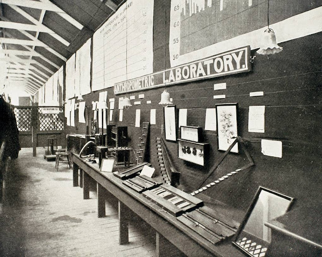 Первая антропометрическая лаборатория Фрэнсиса Гальтона на Международной выставке здравоохранения в Южном Кенсингтоне, 1884 год. © SSPL/Getty Images