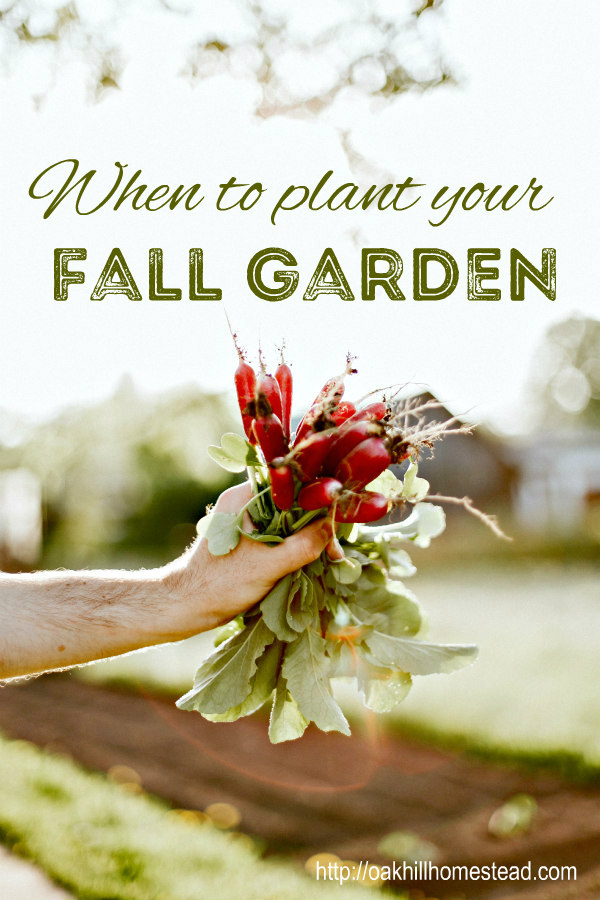 When to Plant a Fall Garden Oak Hill Homestead