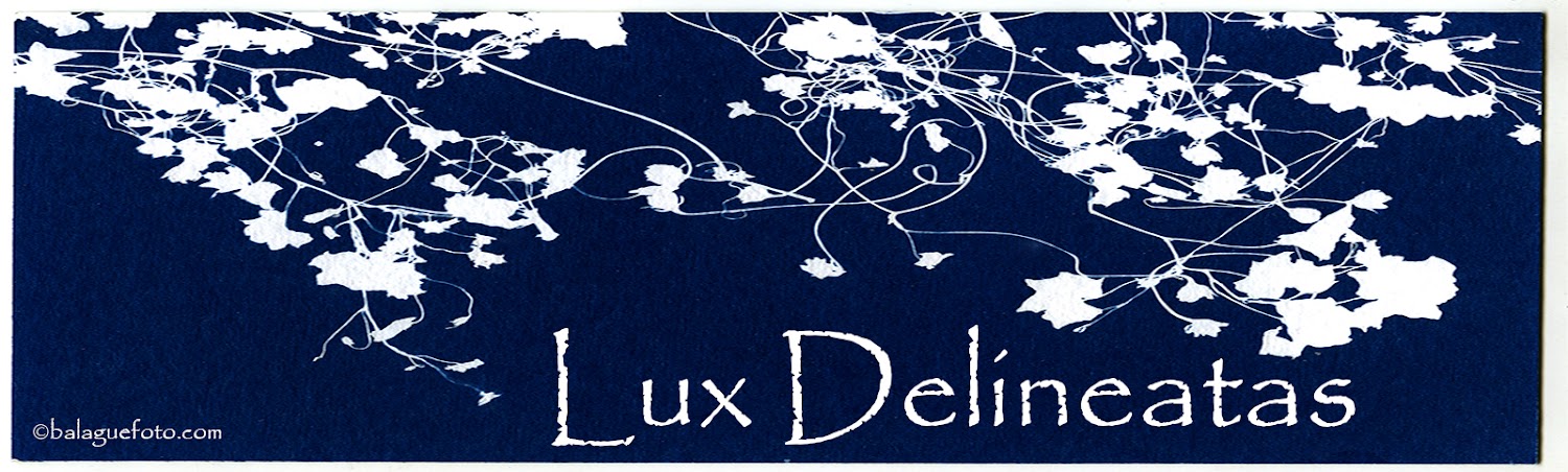 Lux delineatas