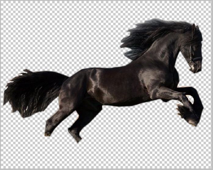 adobe photoshop download file horse