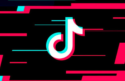 TikTok la red social  favorita entre los más chicos-PuroIngenio