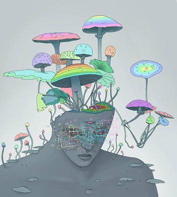 Mushroom dreaming