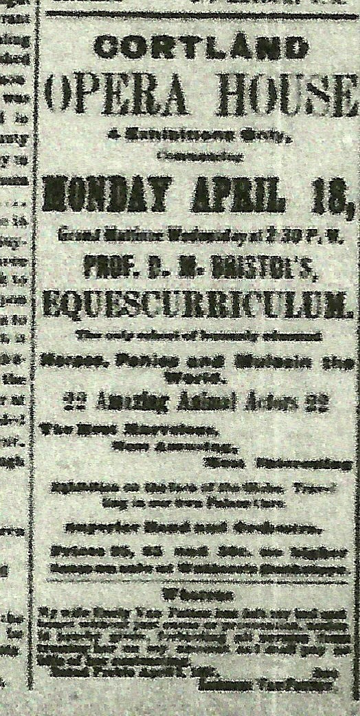 Cortland Contrarian THOSE EDUCATED HORSES