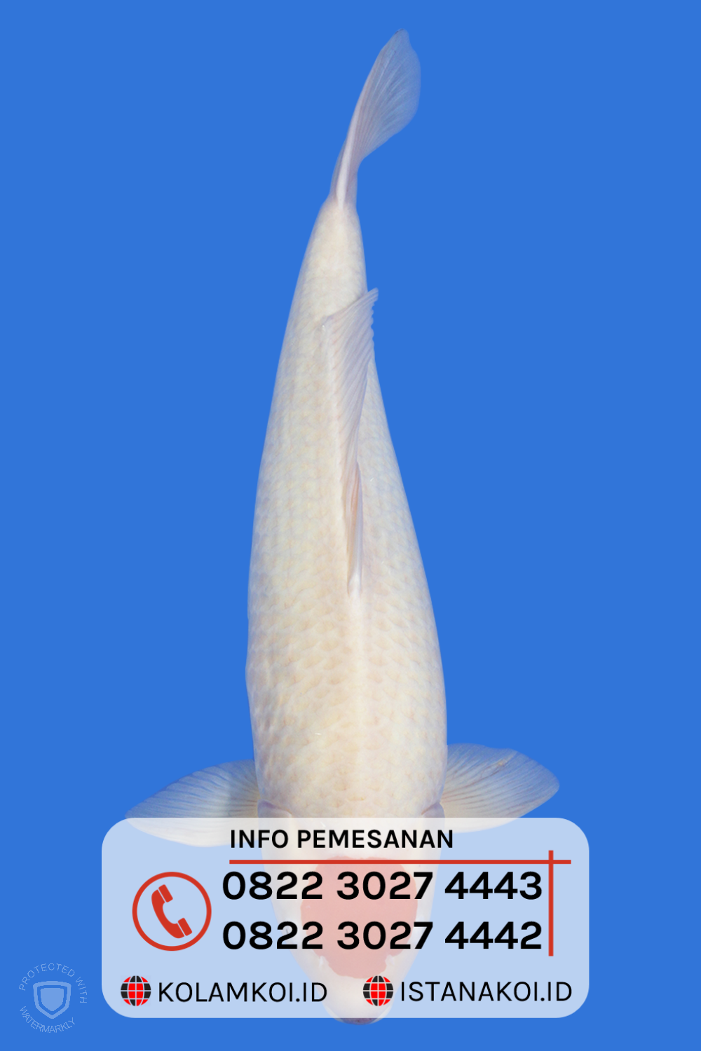 recent-project-img-1